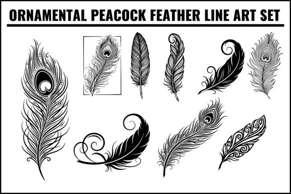 Download Ornamental Peacock Feather Line Art Set - Line art Collection