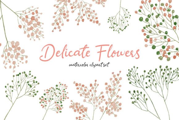 Download Delicate Flowers Hand-drawn Flower Set - Flower Collection