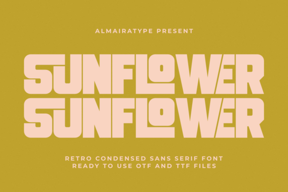 Download Sunflower - Flower Collection